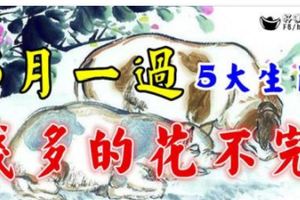 這5大生肖，3月一過，錢多的花不完！