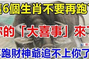 這6個生肖不要再跑了！你的「大喜事」來了，再跑財神爺追不上你了