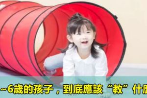 3~6歲的孩子，到底應該「教」什麼？