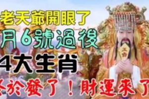 老天開眼了！4個生肖8月6號過後，財運來了，終於發啦！