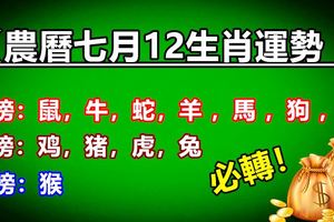 【農曆七月12生肖運勢】~鼠，牛，蛇，羊，馬，狗，龍大吉