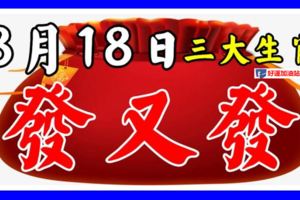 8月18日後，這幾個生肖818，發又發