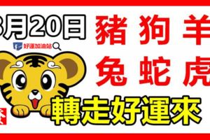 8月20日，生肖_豬、狗、羊、兔、蛇、虎轉走好運來