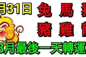 8月31日生肖運勢_兔、馬、猴大吉