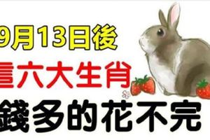 9月13日後，這六大生肖，旺上加旺，財運連連，錢多的花不完