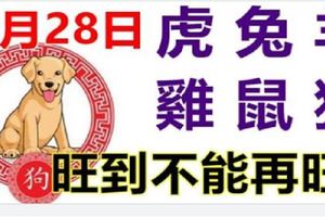 9月28日生肖運勢_虎、兔、羊大吉