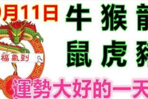 10月11日生肖運勢_牛、猴、龍大吉