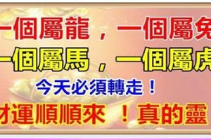 10月13日，一個屬龍，一個屬虎兔，一個屬馬，一個屬虎，今天必須轉走，財運順順來