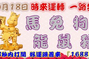 10月18日時來運轉一路發，馬兔狗龍鼠豬，88秒內打開，好運跟著來『16888』