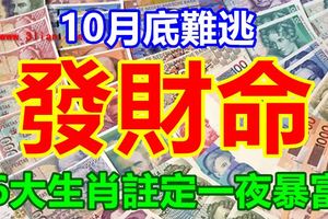 10月底難逃發財命，6大生肖註定一夜暴富。