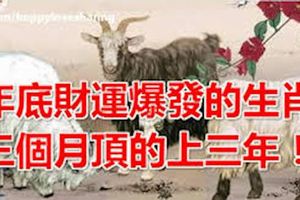 年底財運爆發四大生肖