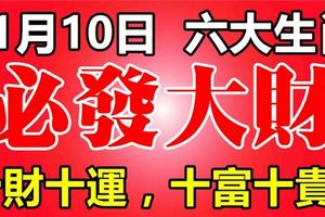 11月10日開始，這六大生肖，十財十運，十富十貴，必發大財！