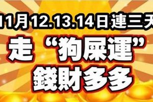 11月12,13,14連三天，走「狗屎運」的生肖，好運一波接一波，還有錢財來助攻！