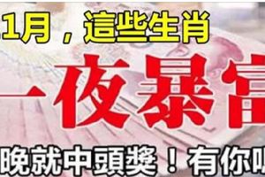 11月橫財大發，正財大旺的7大生肖，一夜暴富！