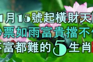 11月15號起，橫財天降，鈔票如雨，富貴擋不住，不富都難的5大生肖！