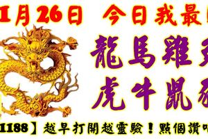 11月26日，今日我最旺！龍馬雞兔虎牛鼠豬！【11188】越早打開越靈驗！點個讚吧！