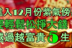 進入12月份紫氣傍身，輕輕鬆松掙大錢，越過越富貴的5生肖！