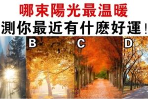 心理學：哪束陽光最溫暖？測你最近有什麼天賜好運！