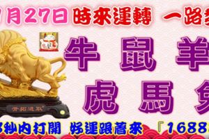 11月27日時來運轉一路發，牛鼠羊虎馬兔，88秒內打開，好運跟著來『16888』