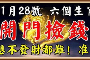 11月28號後，這六個生肖開門撿錢，想不發財都難！