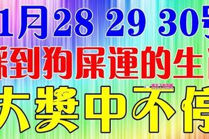 11月28，29，30號，七大生肖踩到「狗屎運」，三番五次大獎中不停