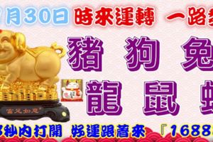 11月30日時來運轉一路發，豬狗兔龍鼠蛇，88秒內打開，好運跟著來『16888』