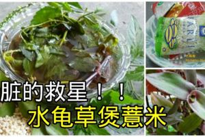 腎臟的救星！只需「水龜草」和「薏米」一起煲來喝，效果超好！