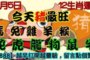 2018年12月5日，星期三農歷十月廿八（戊戌年癸亥月辛未日）