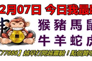 12月07日，今日我最旺！猴豬馬鼠牛羊蛇虎！【77888】越早打開越靈驗！點個讚吧！