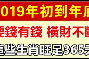 要錢有錢，這些生肖2019年初到年底，橫財不斷，旺足365天！