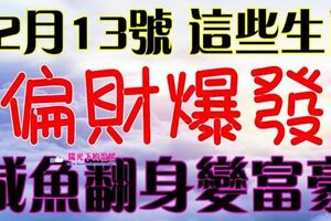 12月13號起偏財爆發，鹹魚翻身變富豪的生肖