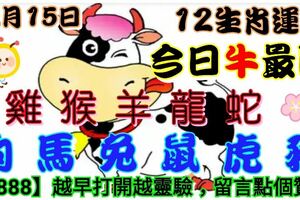 2018年12月15日，星期六農歷十一月初九（戊戌年甲子月辛巳日）