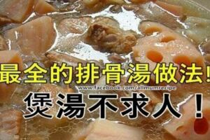 煲湯不再求人【最全的排骨湯美味做法】好媽媽記得把食譜收藏起來！