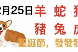 12月25日生肖運勢_羊、蛇、狗大吉