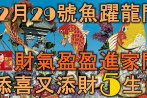 12月29號起魚躍龍門，財氣盈盈進家門，添喜又添財的5大生肖！