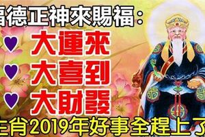 四大生肖在2019年開始，好事全遇到了