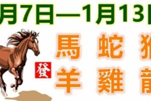 十二生肖一周運勢（1月7日—1月13日）