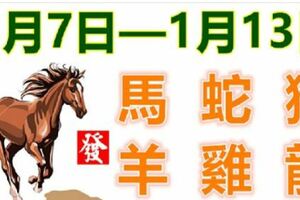 12生肖一周運勢（1月7日—1月13日）