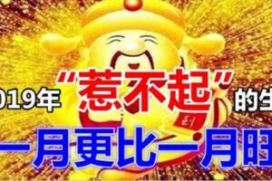 2019年一到，運勢好到「惹不起」的4個生肖，一月更比一月旺