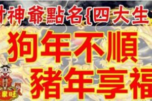 四大生肖狗年不順、豬年可享福，一整年順風順水