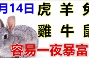 1月14日生肖運勢_虎、羊、兔大吉