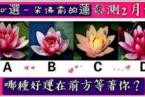 誠心選一朵佛前的蓮，測2月份哪種好運在前方等著你？