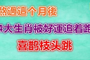 熬過這個月後，4大生肖被好運追著跑，喜鵲枝頭跳