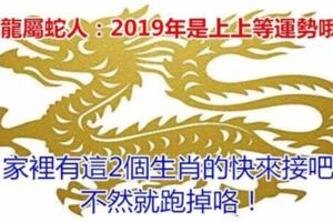 屬龍屬蛇人：2019年是上上等運勢哦！家裡有這2個生肖的快來接吧，不然就跑掉咯！