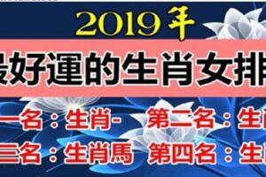 2019年最好運的生肖女，愛家，旺夫=掙大錢