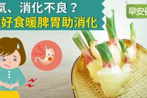 脹氣、消化不良？5種好食暖脾胃助消化