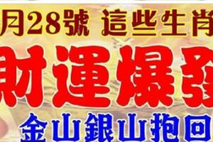 2月28號開始財運爆發，金山銀山抱回家的生肖