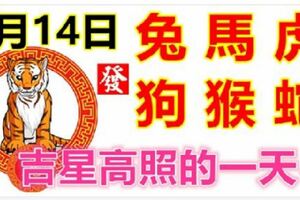 3月14日生肖運勢_兔、馬、虎大吉