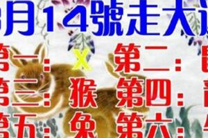 3月14號開始「走大運」的生肖（有你嗎）