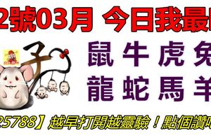 22號03月，今日我最旺！鼠牛虎兔龍蛇馬羊！【25788】越早打開越靈驗！點個讚吧！！點個讚吧！